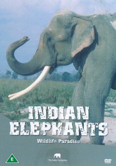 INDIAN ELEPHANTS