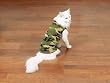 Savvy Tabby Camo Tank Sm Green