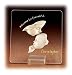 Personalized Welcome to the World Plaque