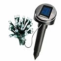 ESOTEC Solar LED Lichterkette 24tlg