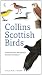 Collins Scottish Birds at Amazon: 41Lqn4Jv7lL._SL75_