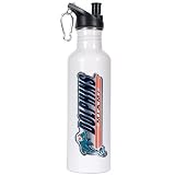 Miami Dolphins 26oz Stainless Steel Water Bottle (White)