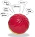 Pet Qwerks ABB1 Animal Babble Ball 3 1/8 in Large