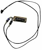 Musical Instruments : Hohner Mini Harmonica Necklace