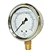 PIC GAUGES 201L-402P Pressure Gauge, Liquid, 4 in, 3000 psi