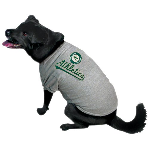 Oakland Athletics Ash Logo Pet T-shirt (X-Large)