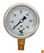 Zenport LPG60 Zen-Tek Glycerin Liquid Filled Pressure Gauge, 60 PSI