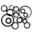 Danco Perfect Match 80788 0-Ring Assortment