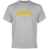 Alabama State Hornets Ash Logo Arch T-shirt-