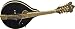 Washburn  M1SDLB A-Style Mandolin (Black)