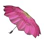 Galleria Big Flower Folding Umbrella
