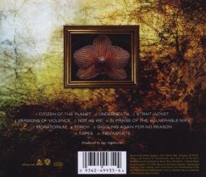 Cover image : Flavors Of Entanglement