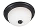 41Ls2NQ R5L. SL75  Choosing The Right Kitchen Lighting Fixtures