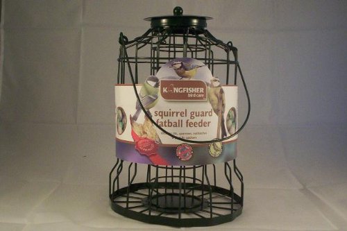 squirrel guard fatball feeder - Bird care , wild bird friendly