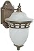 Trans Globe Lighting 5110 BZ Outdoor Stephano 12" Wall Lantern, Bronze