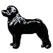 BLACK Newfoundland Hand Painted Pin