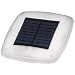 Sunterra 300430 Floating Solar Spotlight