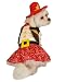 Anit Accessories Cowgirl Dog Costume, 16-Inch