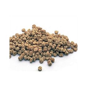 Harrison's Adult Lifetime, Fine, 1 Lb. by 