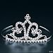 Rhinestone Two Heart Princess Tiara