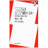 「こころ」はどこで壊れるか―精神医療の虚像と実像 (新書y)