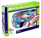 Dolphin Anatomy Kit (10-5/8) Visible 4d