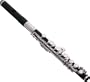 Jupiter 305S Piccolo