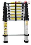 12 Foot Telescoping Extension Ladder