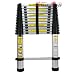 12 Foot Telescoping Extension Ladder