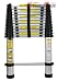 12 Foot Telescoping Extension Ladder