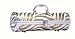 Gold White Zebra Wine Purse Tote with Cork Screw