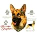 Dog Breed Women's Sweatshirt : German Shepherd