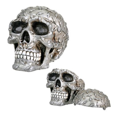 Diamond Plate Skull Container - Collectible Skeleton Figurine Model