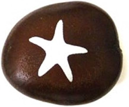 Starfish Amazing Sea Beans Imprinted With Animal Images