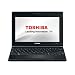 Toshiba NB500-12V 25,7 cm (10,1 Zoll) Netbook (Intel Atom N455, 1,6GHz, 1GB RAM, 320GB HDD, Intel GMA 3150, Win 7 Starter) orange-metallic