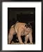 Sumo Wrestler Competing, Grand Taikai Sumo Wrestling Tournament, Kokugikan Hall Stadium, Tokyo Framed Art Poster Print by Christian Kober, 18x22
