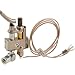 FRYMASTER PILOT (ITT PG9, W/THERMOPILE) 810-0157