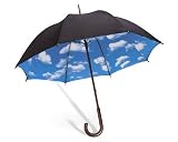 Sky Stick Umbrella スカイ・アンブレラ