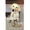 Must-Read Books About Pets