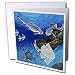 Steve Shachter Art - BOTTOM DWELLING SHARKS - Greeting Cards-12 Greeting Cards with e...