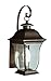 Trans Globe Lighting 4970 WB Outdoor Downing 18" Wall Lantern, Weathered Bronze