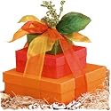 Fall Fantasy Gourmet Food Tower - Thanksgiving Gift Basket - Medium