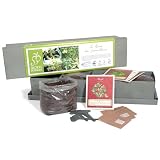 Garden Herbs