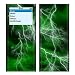 Apocalypse Green Design Decal Skin Sticker for Apple iPod nano 2G (2nd Generation) 2GB/ 4GB/ 8GB Player