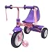 Little Miss Flyer Fold 2 Go Trike
