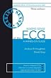 Making Sense of the ECG: A Hands-on Guide