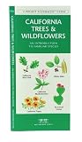 Search : California Trees and Wildflowers