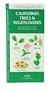 California Trees & Wildflowers: An Introduction to Familiar Species (State Nature Guides)