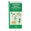 California Trees & Wildflowers: An Introduction to Familiar Species (State Nature Guides)