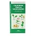 California Trees & Wildflowers: An Introduction to Familiar Species (State Nature Guides)